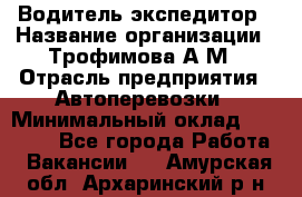 Водитель-экспедитор › Название организации ­ Трофимова А.М › Отрасль предприятия ­ Автоперевозки › Минимальный оклад ­ 65 000 - Все города Работа » Вакансии   . Амурская обл.,Архаринский р-н